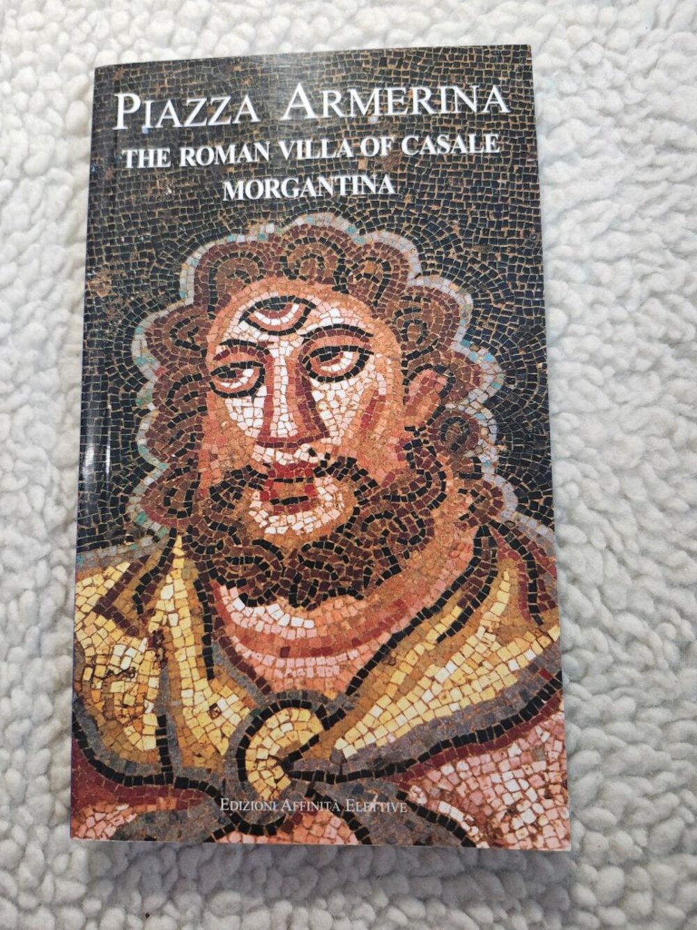 Piazza Armerina The Roman Villa Of Casale Morgantina Guide Book Italy Paperback
